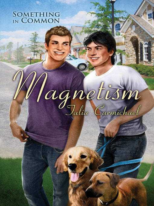 Cover image for Magnetism